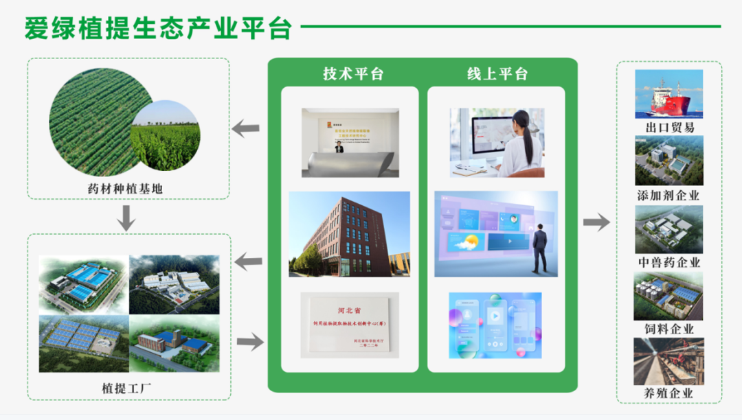 尊龙凯时人生就是博·(中国)官网登录